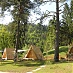Eco Resort Concept GLAMPING