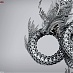 중국 Brilliance Auto 광고 - Dragon